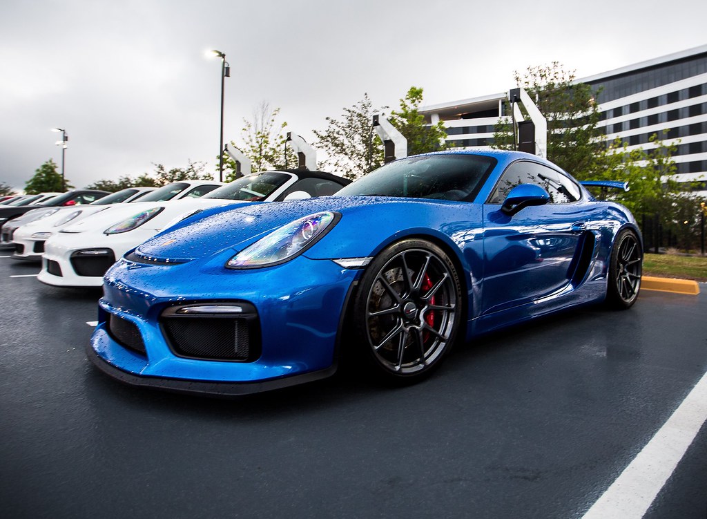 One Piece Porsche Lifeanimes