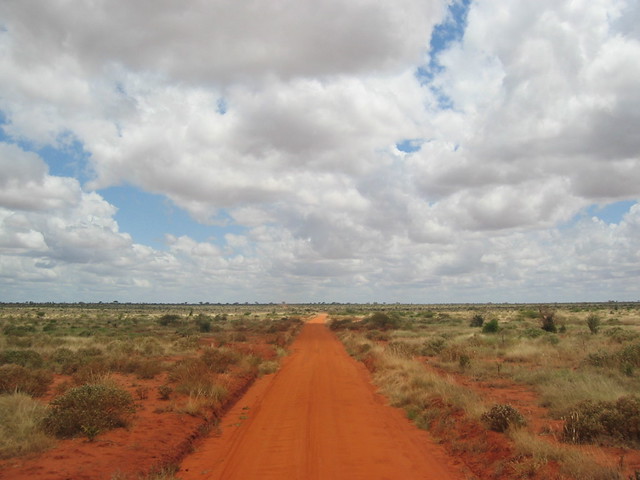 Africa Safari Landscape A Landscape From Safari In Tsavo E