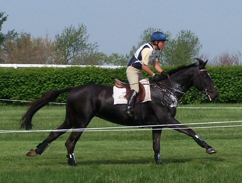 Rolex Kentucky 3 Day Event 2007 Cross Country Kiltartan Flickr