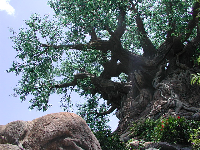 The Tree Of Life Disney S Animal Kingdom Disney Sand And Snow