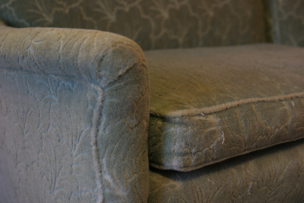 Why A Mold Inspection Can Save You Precious Time And Money 