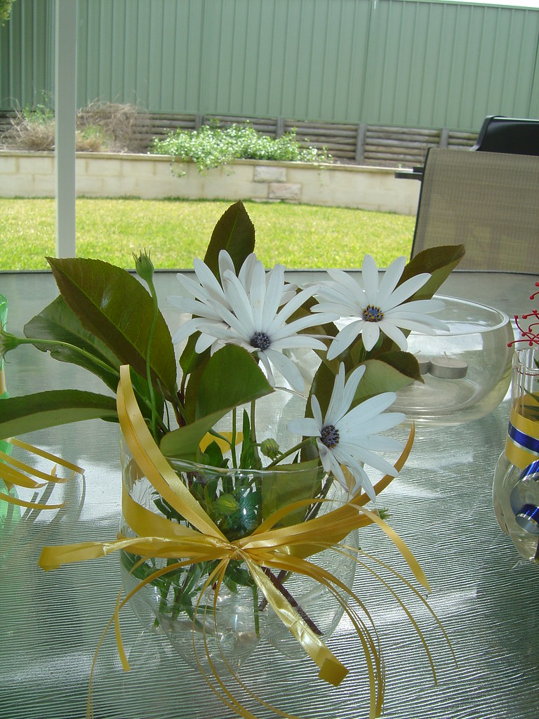 Gold Ribbon Plant : Can I Grow Spider Plant In Aquarium Hometanks /