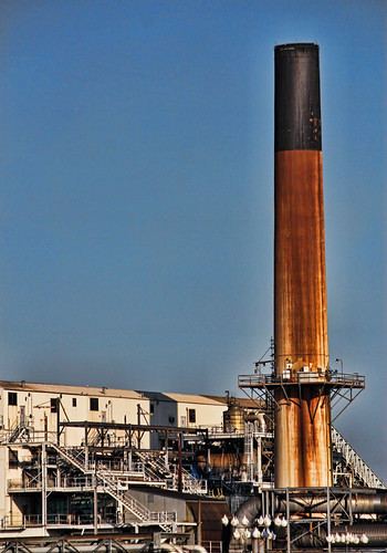 Invista may plant