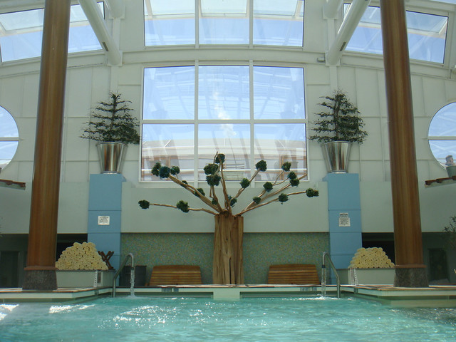 Celebrity Infinity Solarium A Quiet Moment In The Indoor