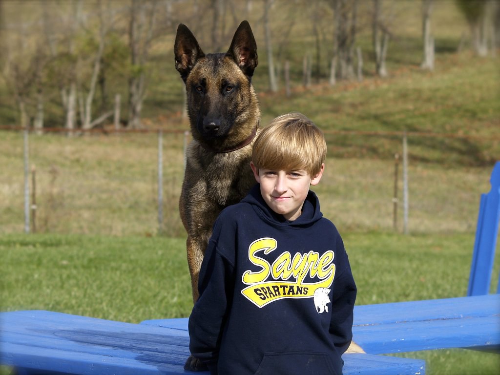 34+ Nice Cabin Creek Kennel - Kennel - Stonnie Dennis | Trainer : Cabin creek pets has puppies for sale on akc puppyfinder.