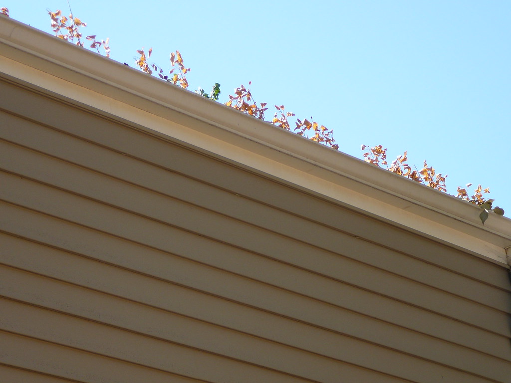 Is it time to clean the gutter?