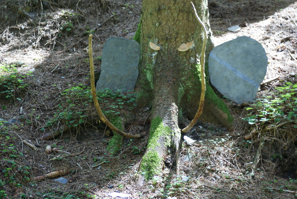 Forest Land Art Creation Land Art En Foret De Neufchateau Flickr