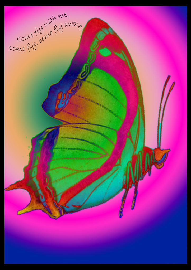 Andy Warhol Style Butterfly Just Experimenting Flickr