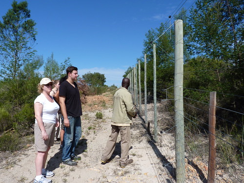 Game Reserve Conservation Volunteer