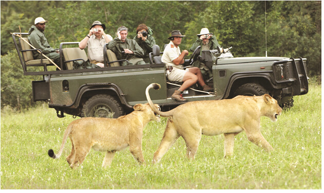 Luxury South African Safaris South Africa Safari Tours