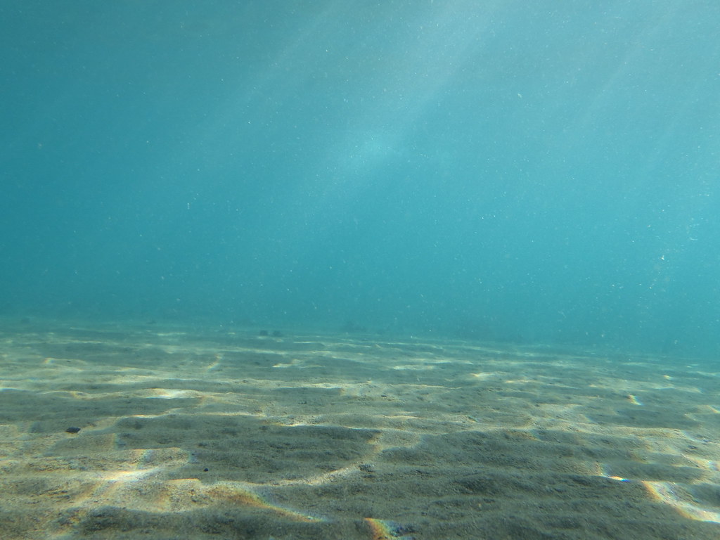 The bacteria and algae living in the sediments take up the nutrients so fast and so thoroughly, that hobbyist test kits typically may not measure any of the nutrients at all even immediately after feeding. Underwater sea floor sand | underwater | Dimitris