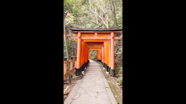 Kyoto to Uji — video 90 of 109