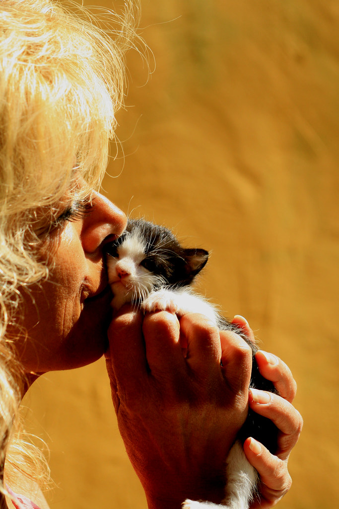 Was created by natacha poutoux and sacha hourcade, two designers trained at ensci les ateliers and then within international studios such as . Un Gros Poutoux Rene Flickr