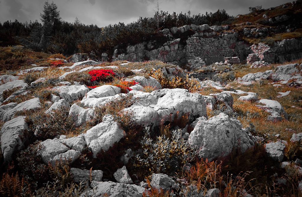 Chelsea Flower Show 2018 Best Space To Grow Garden The Silent Pool Gin Garden Material Change