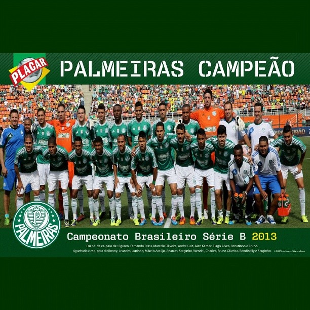 The serie b of the brazilian championship 2013 was a football competition held in brazil, equivalent to the second division. Campeao Serie B 2013 Elizanio Flickr