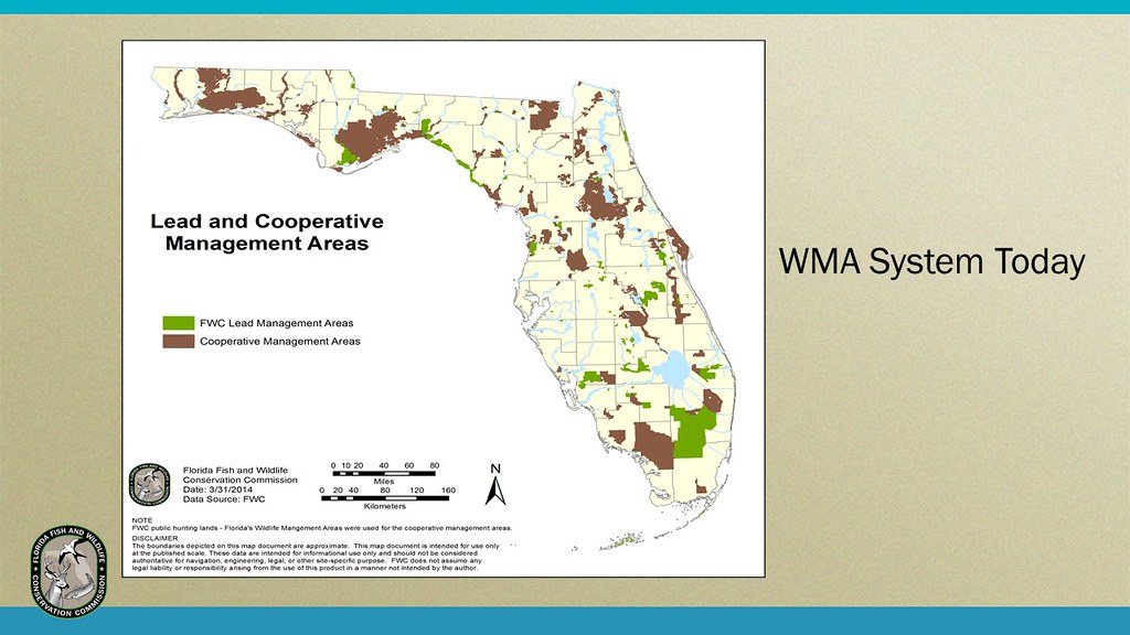 75th Anniversary Of Florida S WMA System Now Spanning Ove Flickr 32761142656 5664b27f16 B 