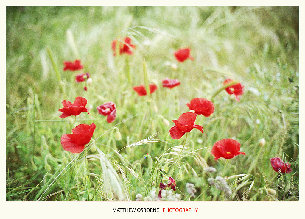 Voigtlander Bessa R3A Review + (Nokton 40mm f1.4) - Leica Blog