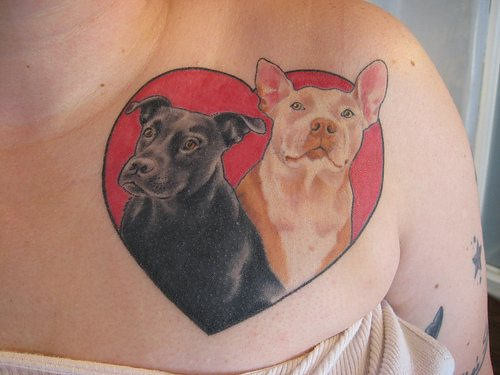 Black And White Dogs In Red Heart Tattoo On Chest #181 | Flickr 375_x_500_jpg