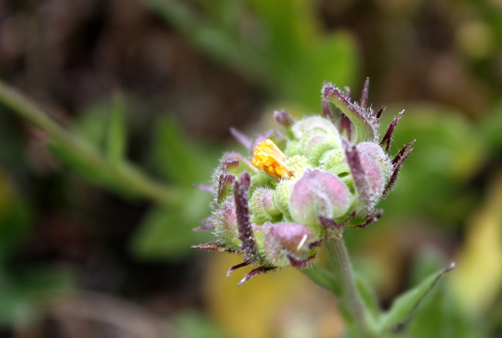 (interestingly, we don’t really contract it was into it’s.) if you’re trying to figure out whether you should write it’s or its, swap in it is or it has. It's for me :) | My birthday gift :) | mdn09 | Flickr