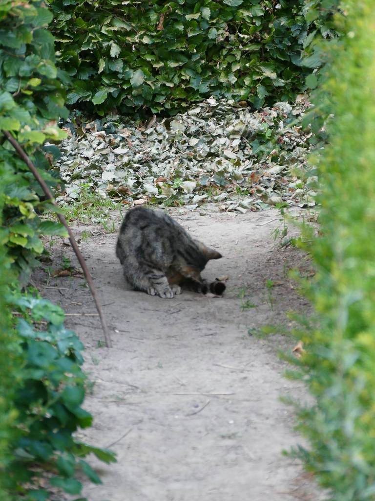 Jardin Plume Picture Of Le Jardin Plume Auzouville Sur Ry Tripadvisor
