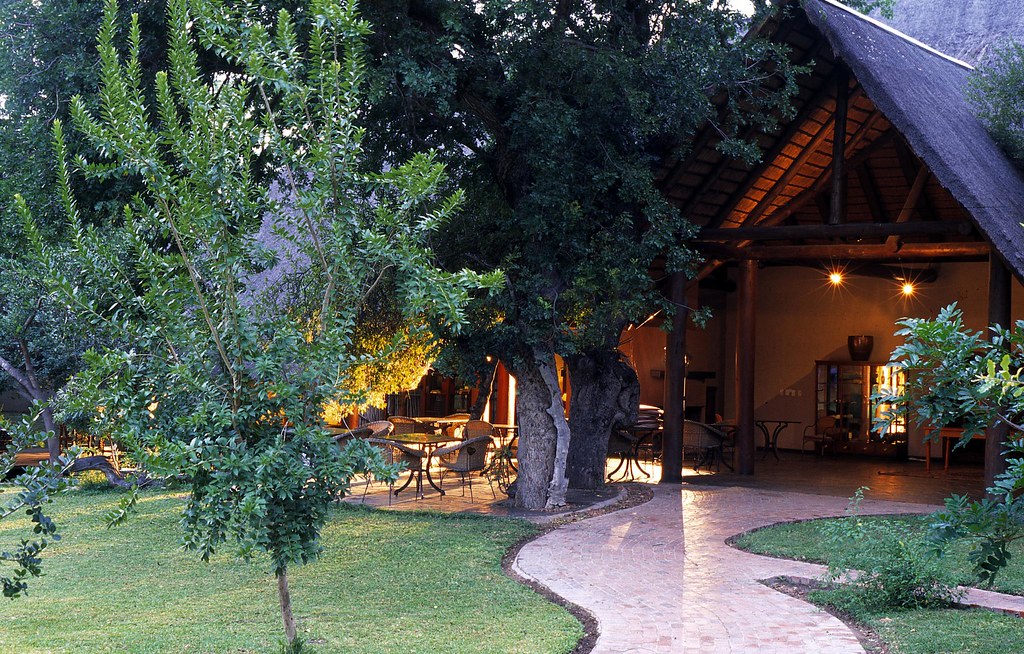 Ngala Safari Lodge Ngala Private Game Reserve South Afri