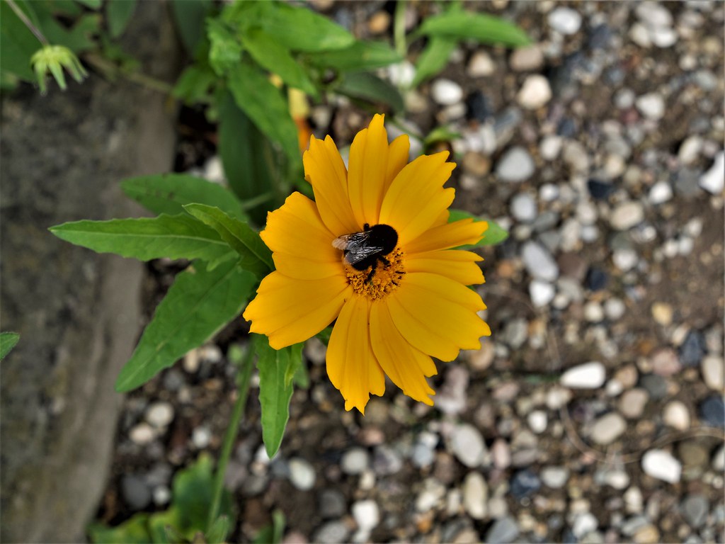 Im Regenwaldhaus Botanischer Garten Hannover Deutschland In The Rain Stock Photo Alamy