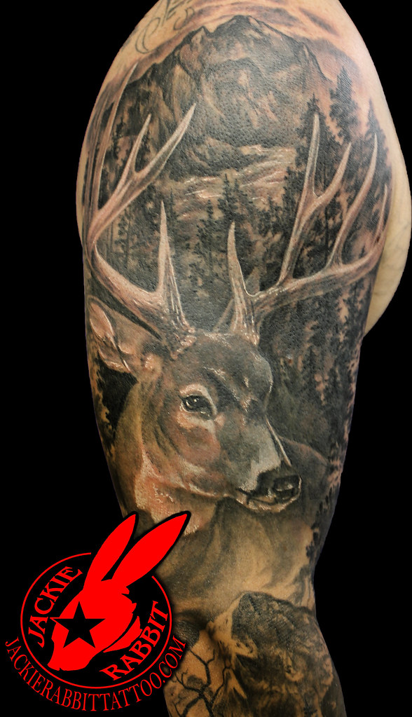 Deer Forest White Tail Buck Rack Antlers Tree Forest Hunti… | Flickr 1023_x_588_jpg