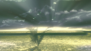 Dapatkan Gambar Gambar Pemandangan Indah For Android Apk Download Terkeren by Lampunghits.com
