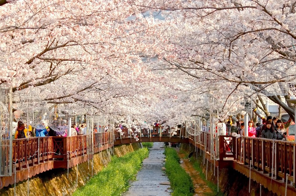 Free Gambar Foto Dengan Pemandangan Sungai Han Korea Picture Of Hotel Joker Terbaru by Lampunghits.com