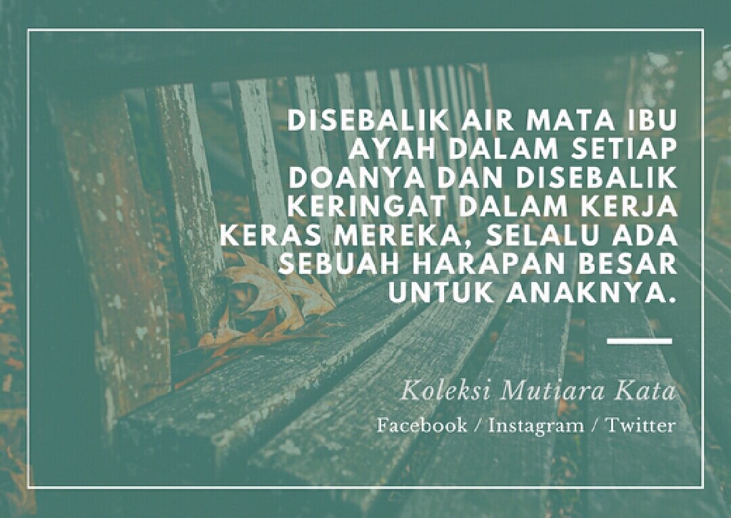 Dapatkan Gambar Steller Create Beautiful Social Media Stories Terbaru by Lampunghits.com