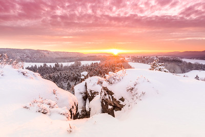 Morgenstund Hat Gold Im Mund | In English Something Like "Ea… | Flickr 267_x_400_jpg