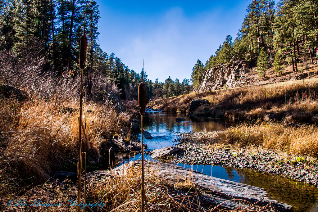 Sheridan lake road