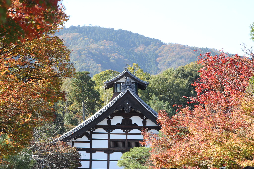 嵐山到金閣寺 京都景點 金閣寺搭公車前往嵐山 光是在渡月小橋就覺得心曠神 Qavhp