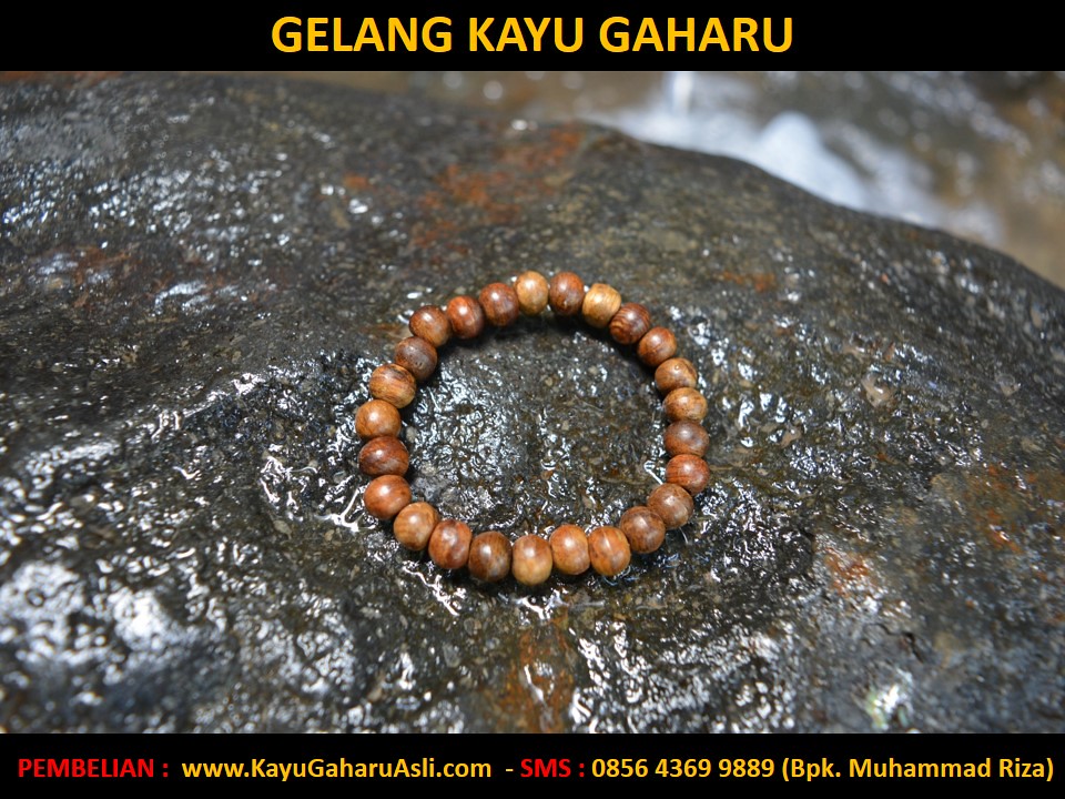 Harga kayu gaharu super king