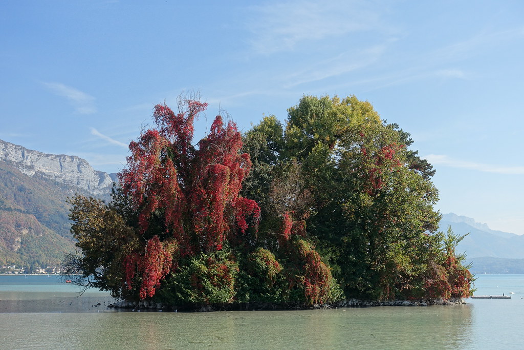 Jardin Des Rosiers Joseph Mignaret The Secret Garden