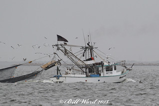 Baby Bear Commercial Fishing Boat Uscg No 667106 William J Flickr