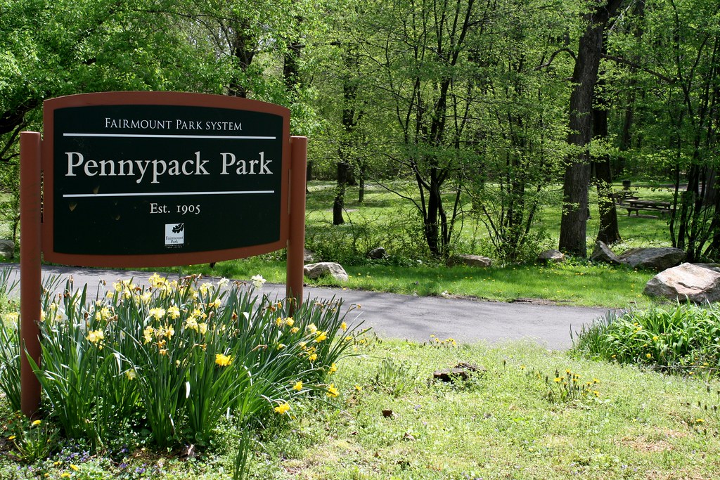 Pennypack Gardens At David Reiser Blog 5675599674 A704940102 B.