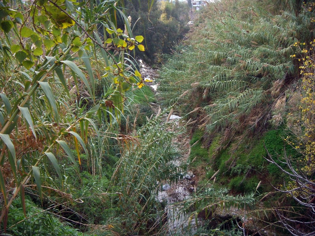 May 30, 2018 · athens walks allows customers to experience contemporary greek culture and understand the lifestyles and themes of modern athens. Rema Pikrodafnhs Athens Walks Tour Company Private Tours Flickr