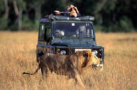 Masai Mara Safari Kenya Safari Travel Masai Mara Masai