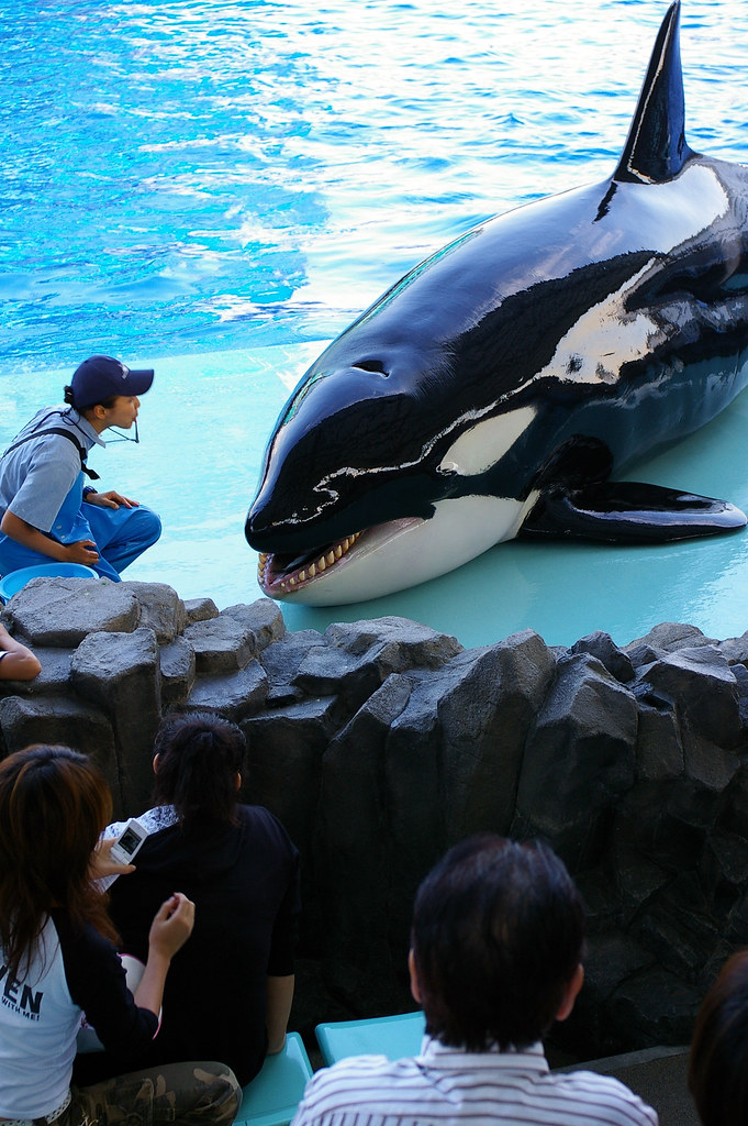 名古屋港水族館(nagoya harbor aquarium)