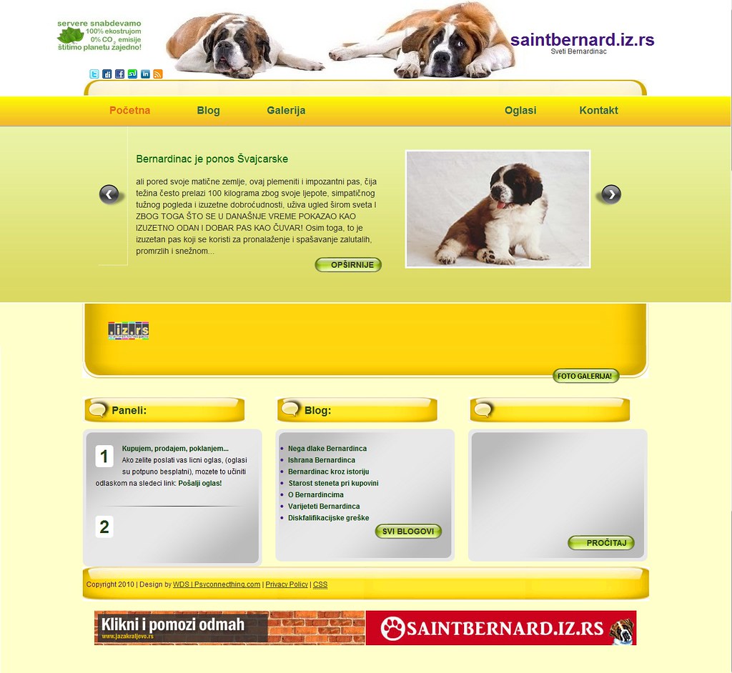 Daleko je jeftinije da se oglašavate to jest reklamirate putem interneta, … saintbernard.iz.rs | Saint Bernard Dogs Bernardinac