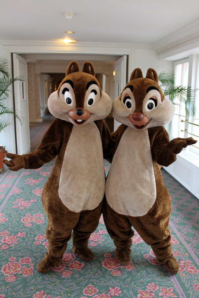 After the registration process, you can log in to edpuzzle via the same website and start using its features. Chip and Dale | Disneyland Hotel, Disneyland Resort Paris