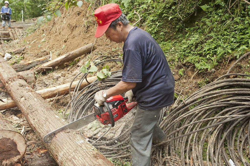 伐木英文伐木 Sahrz 伐木英文伐木 Sahrz