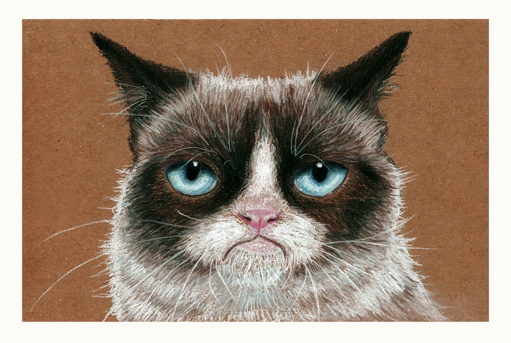 I need a cat ugly enough to be an internet drawing. Grumpy Cat Don T Like My Drawing Good Laura Restrepo Flickr