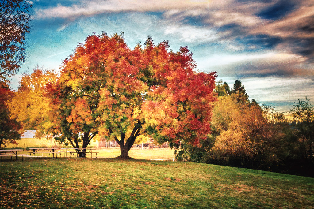 Larsen apple barn is the oldest (c. Apple Hill Autumn | Larsen Apple Barn Camino, CA | Karen