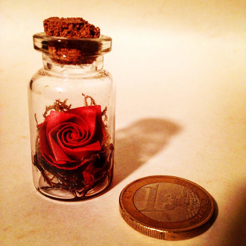 21/05/2021 · learn how to make a cute little origami plant that's made entirely out of paper. My Precious Bottle Origami Rose Mini Julia Millet Flickr
