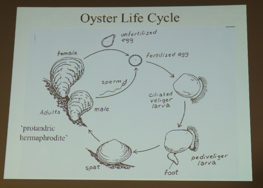 111015 A Et072 019 U S Army Corps Of Engineers Norfolk