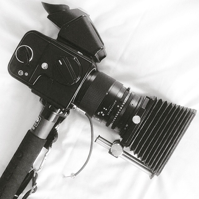 Hasselblad 645 Photos (A16 Hasselblad 645 Back)(V vs H System 6x4