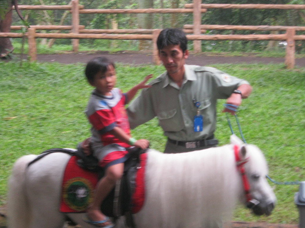 Unduh Gratis Gambar Gambar Untuk Mewarnai Kuda Poni Gambar Mewarnai Terkeren oleh Lampunghits.com