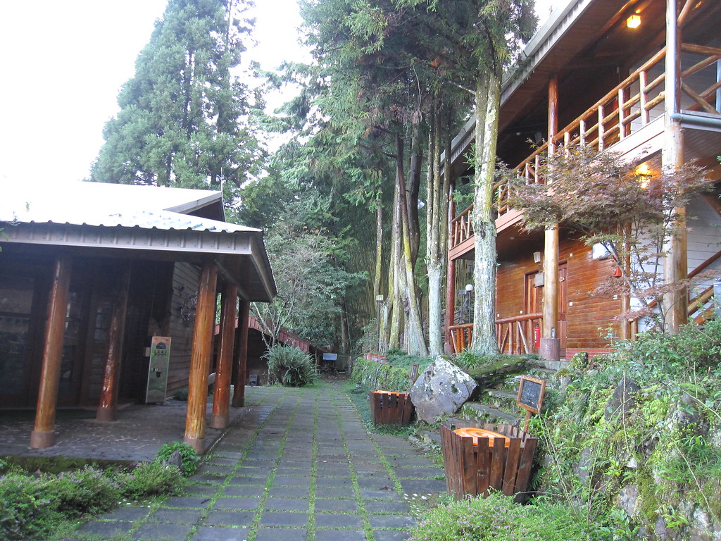 拉拉山達觀農場拉拉山巨木步道 Ptnoe